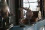 HAASJE OVER_8